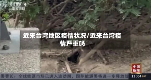 近来台湾地区疫情状况/近来台湾疫情严重吗-第2张图片