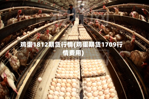 鸡蛋1812期货行情(鸡蛋期货1709行情费用)-第3张图片
