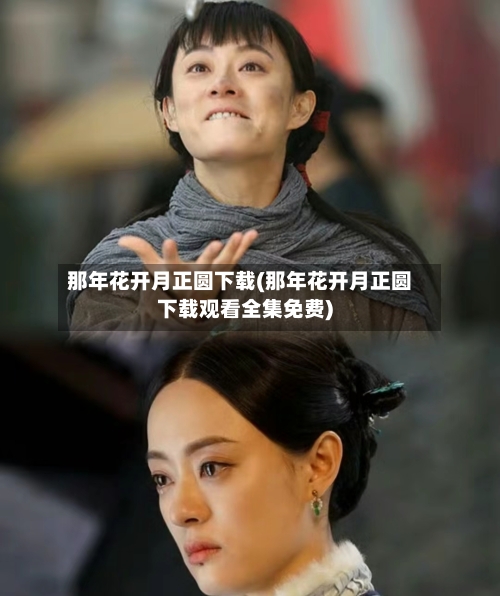 那年花开月正圆下载(那年花开月正圆下载观看全集免费)-第2张图片