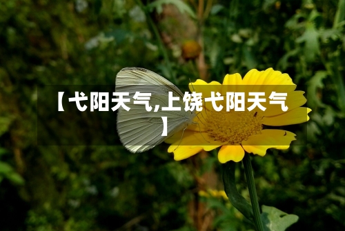 【弋阳天气,上饶弋阳天气】