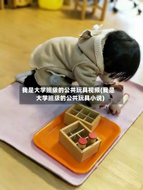 我是大学班级的公共玩具视频(我是大学班级的公共玩具小说)-第3张图片