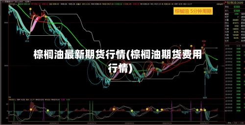 棕榈油最新期货行情(棕榈油期货费用行情)