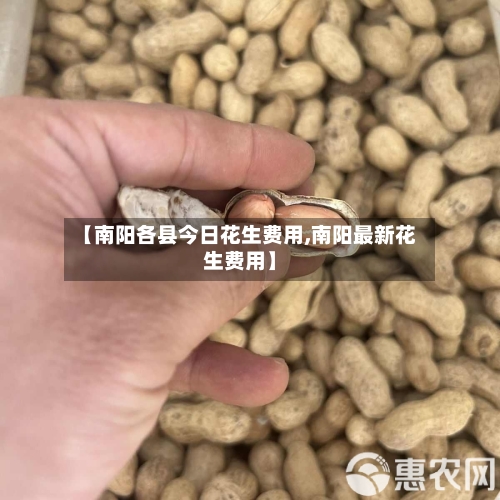 【南阳各县今日花生费用,南阳最新花生费用】