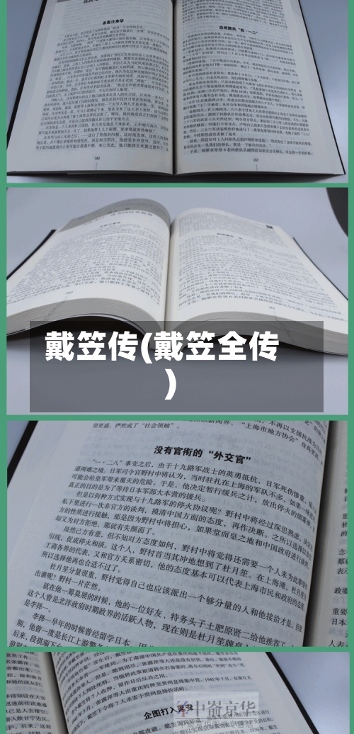 戴笠传(戴笠全传)