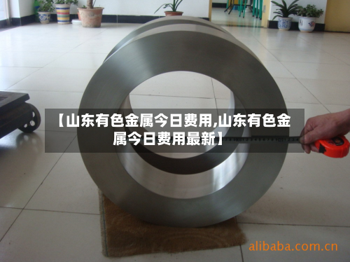 【山东有色金属今日费用,山东有色金属今日费用最新】