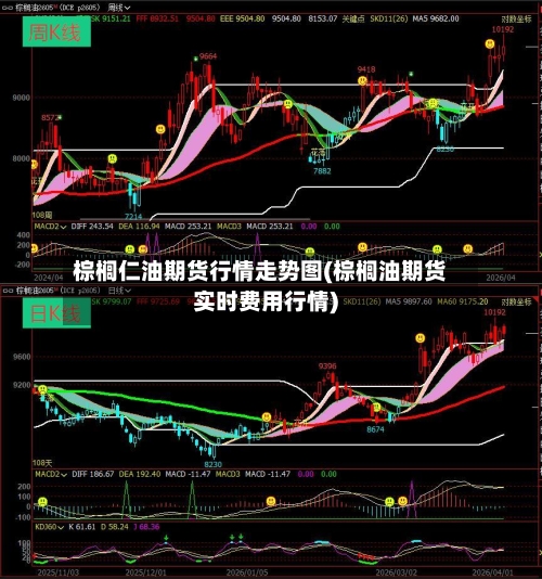 棕榈仁油期货行情走势图(棕榈油期货实时费用行情)-第2张图片