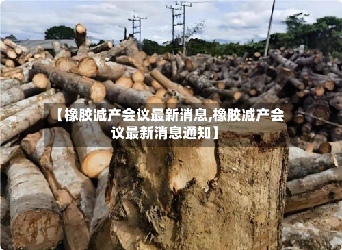【橡胶减产会议最新消息,橡胶减产会议最新消息通知】