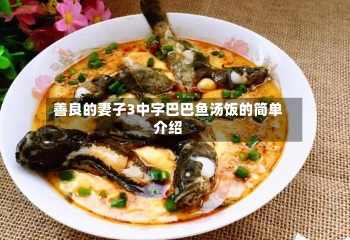 善良的妻子3中字巴巴鱼汤饭的简单介绍-第3张图片