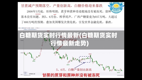 白糖期货实时行情最新(白糖期货实时行情最新走势)-第2张图片