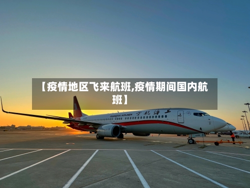【疫情地区飞来航班,疫情期间国内航班】-第2张图片