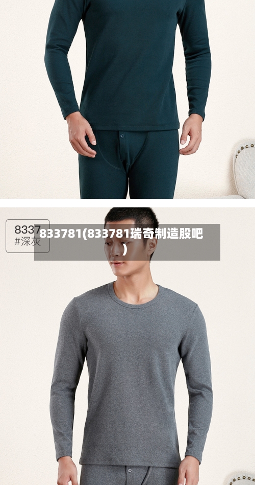 833781(833781瑞奇制造股吧)