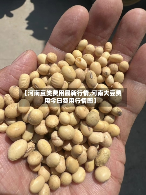 【河南豆类费用最新行情,河南大豆费用今日费用行情图】-第3张图片
