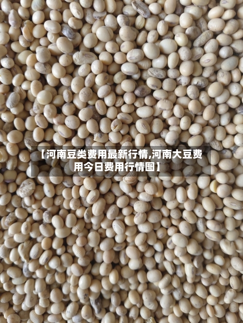 【河南豆类费用最新行情,河南大豆费用今日费用行情图】-第2张图片