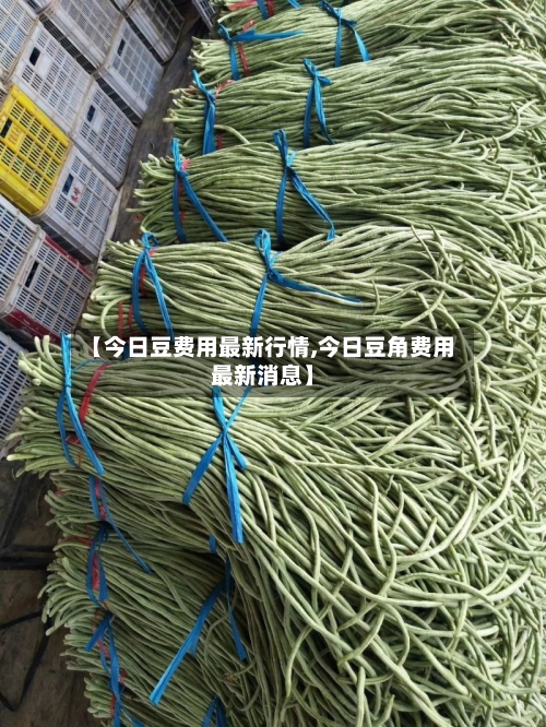 【今日豆费用最新行情,今日豆角费用最新消息】