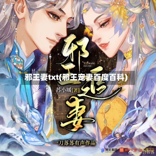 邪王妻txt(邪王宠妻百度百科)