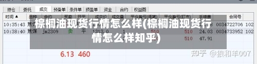 棕榈油现货行情怎么样(棕榈油现货行情怎么样知乎)
